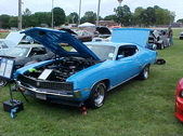Enlarge photo 3517