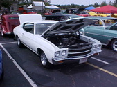 Enlarge photo 4262