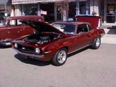 Enlarge photo 4585