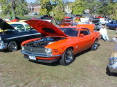 Enlarge photo 4940