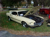 Enlarge photo 5037