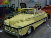 Enlarge photo 272