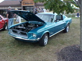 Enlarge photo 3783