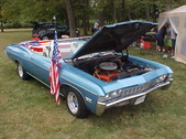 Enlarge photo 4731