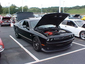 Enlarge photo 3294