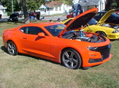 Enlarge photo 4982