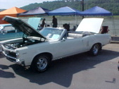 Enlarge photo 957