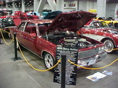 Enlarge photo 243
