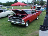 Enlarge photo 3513