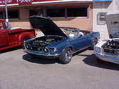 Enlarge photo 4581