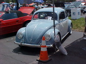 Enlarge photo 1731