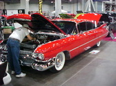 Enlarge photo 381