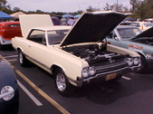 Enlarge photo 4257