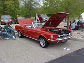 Enlarge photo 612