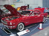 Enlarge photo 268