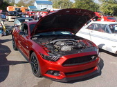 Enlarge photo 5143