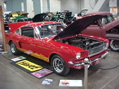 Enlarge photo 379