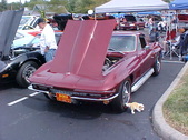 Enlarge photo 4311