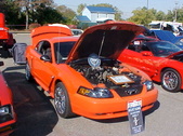 Enlarge photo 5116
