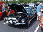 Enlarge photo 1566