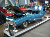 Enlarge photo 239