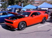 Enlarge photo 4491