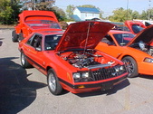 Enlarge photo 5115