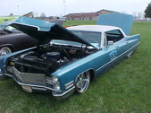 Enlarge photo 521