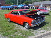 Enlarge photo 1117