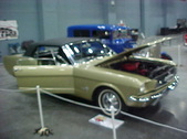 Enlarge photo 266