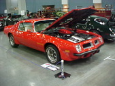 Enlarge photo 351