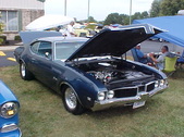 Enlarge photo 4723