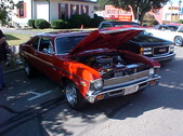 Enlarge photo 4546