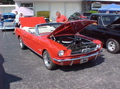 Enlarge photo 1079