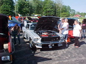 Enlarge photo 127