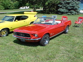 Enlarge photo 1195