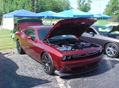 Enlarge photo 242