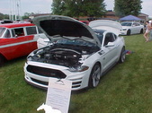 Enlarge photo 299
