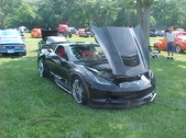 Enlarge photo 569