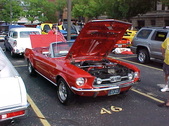 Enlarge photo 1381