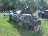 Enlarge photo 546