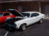 Enlarge photo 217