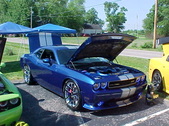 Enlarge photo 239