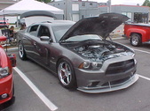 Enlarge photo 485