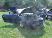 Enlarge photo 545