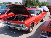Enlarge photo 1074