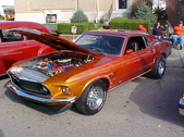 Enlarge photo 3033