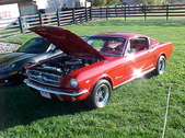 Enlarge photo 3174