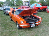 Enlarge photo 1282