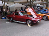 Enlarge photo 1434